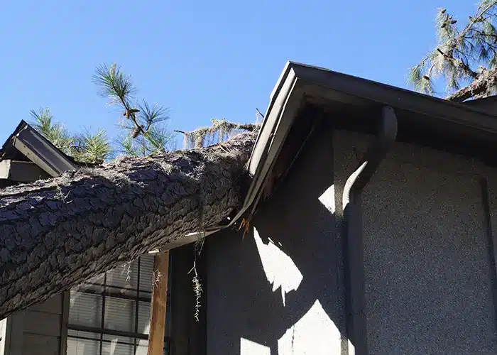 storm damage